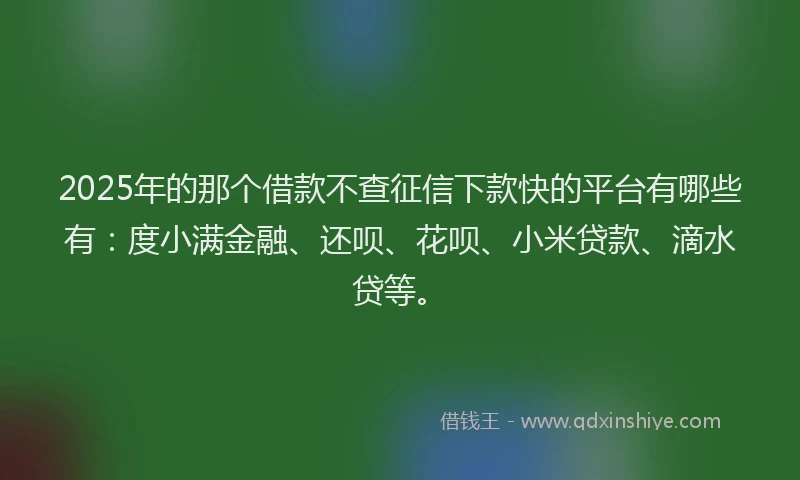 2025年的那个借款不查征信下款快的平台有哪些有：度小满金融、还呗、花呗、小米贷款、滴水贷等。