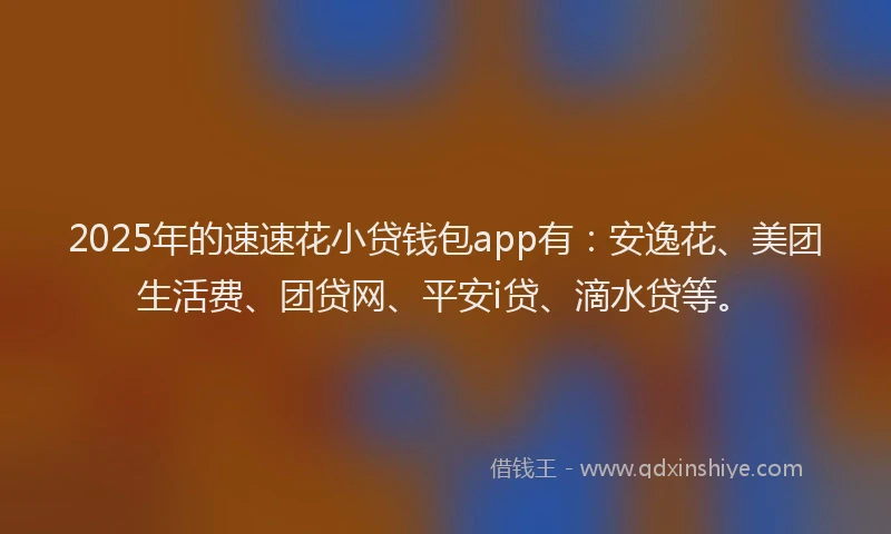 2025年的速速花小贷钱包app有：安逸花、美团生活费、团贷网、平安i贷、滴水贷等。