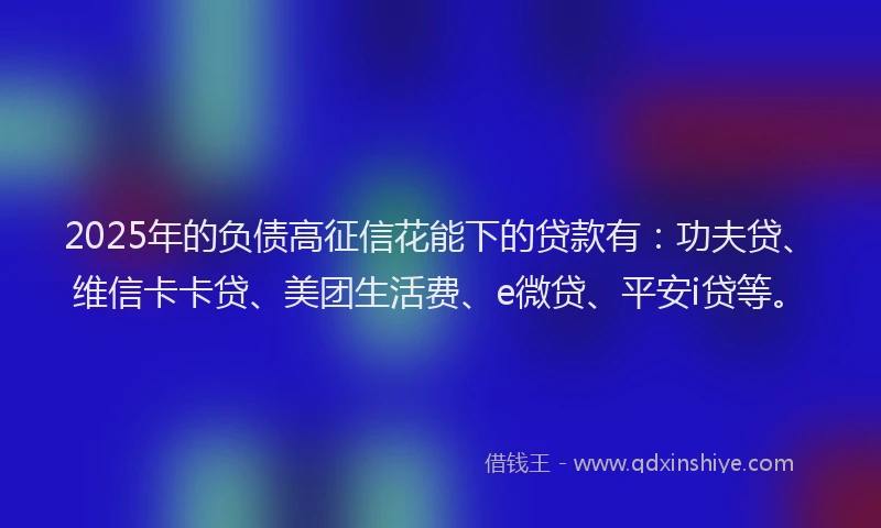 2025年的负债高征信花能下的贷款有：功夫贷、维信卡卡贷、美团生活费、e微贷、平安i贷等。