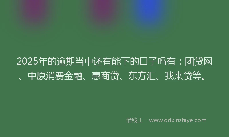 2025年的逾期当中还有能下的口子吗有：团贷网、中原消费金融、惠商贷、东方汇、我来贷等。