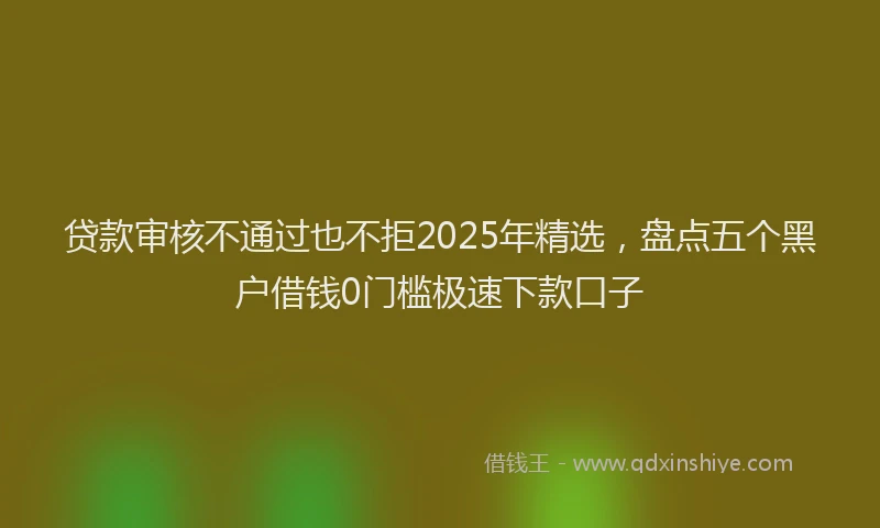 贷款审核不通过也不拒2025年精选，盘点五个黑户借钱0门槛极速下款口子