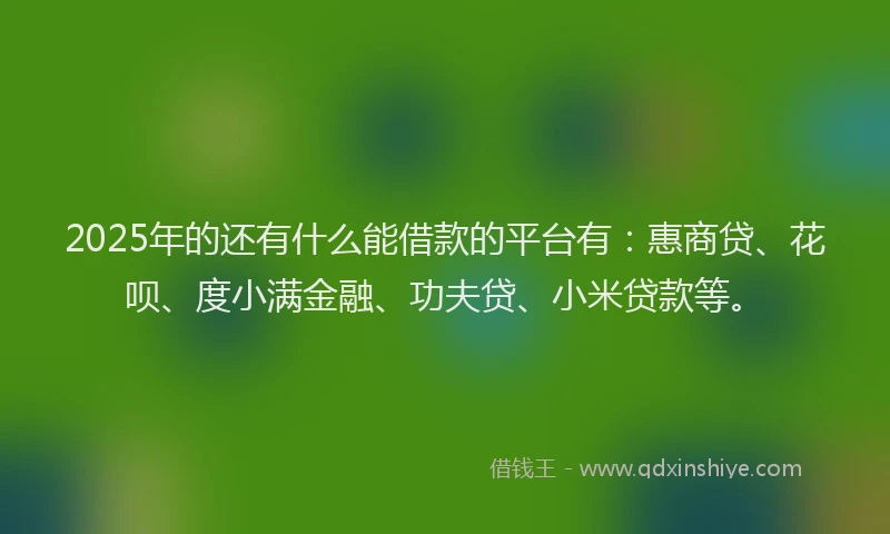2025年的还有什么能借款的平台有：惠商贷、花呗、度小满金融、功夫贷、小米贷款等。