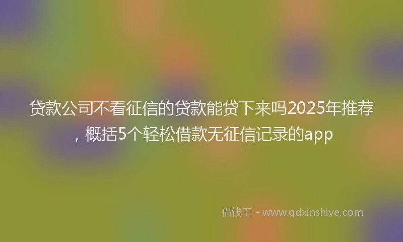 贷款公司不看征信的贷款能贷下来吗2025年推荐，概括5个轻松借款无征信记录的app