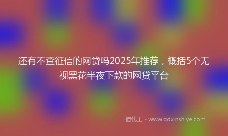 还有不查征信的网贷吗2025年推荐，概括5个无视黑花半夜下款的网贷平台