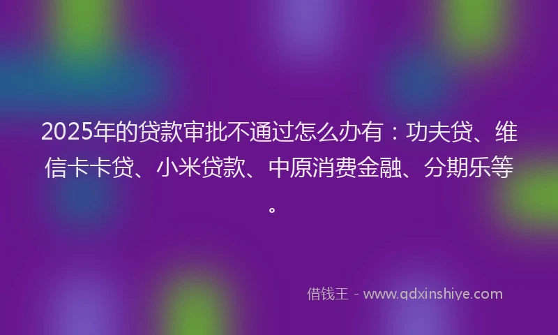2025年的贷款审批不通过怎么办有：功夫贷、维信卡卡贷、小米贷款、中原消费金融、分期乐等。