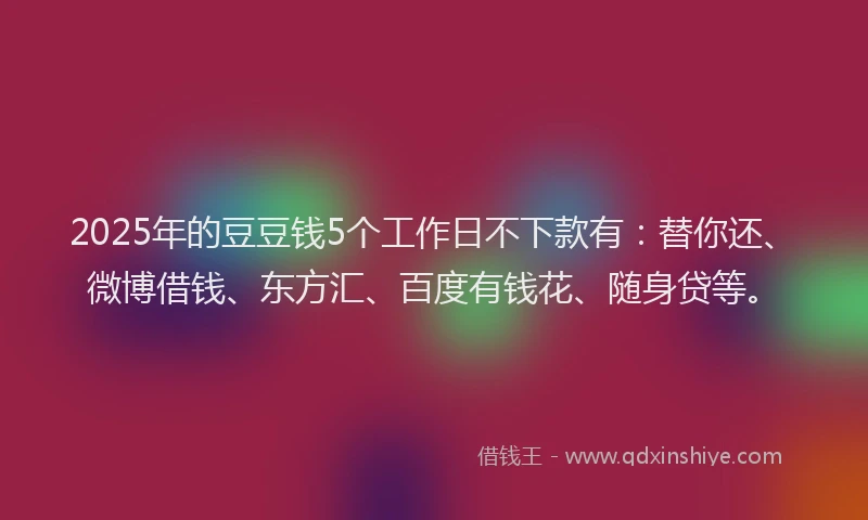 2025年的豆豆钱5个工作日不下款有：替你还、微博借钱、东方汇、百度有钱花、随身贷等。