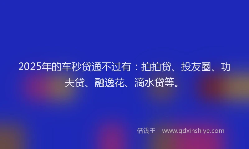 2025年的车秒贷通不过有：拍拍贷、投友圈、功夫贷、融逸花、滴水贷等。