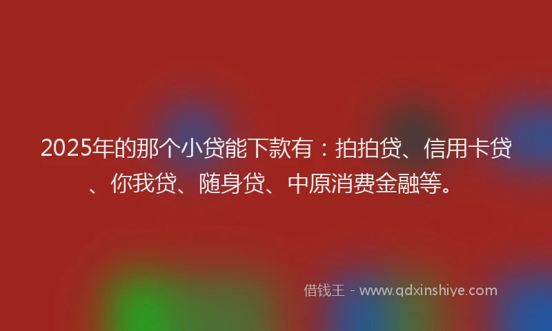 2025年的那个小贷能下款有：拍拍贷、信用卡贷、你我贷、随身贷、中原消费金融等。