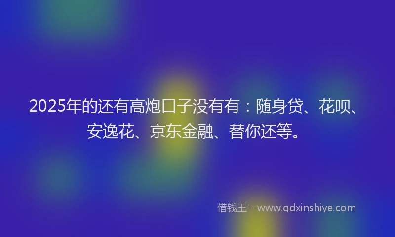 2025年的还有高炮口子没有有：随身贷、花呗、安逸花、京东金融、替你还等。