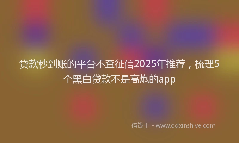 贷款秒到账的平台不查征信2025年推荐，梳理5个黑白贷款不是高炮的app