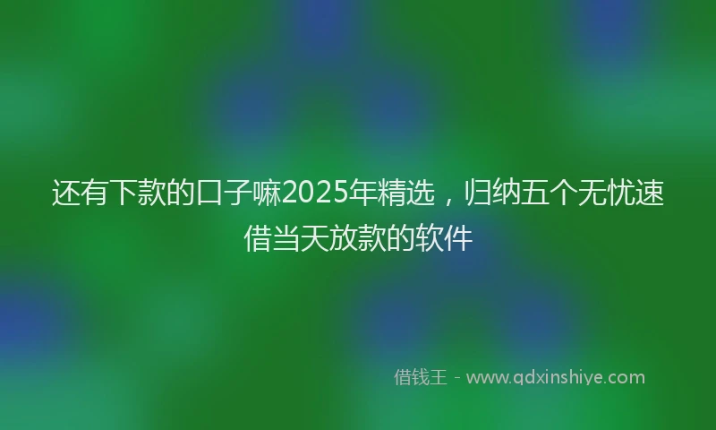 还有下款的口子嘛2025年精选，归纳五个无忧速借当天放款的软件