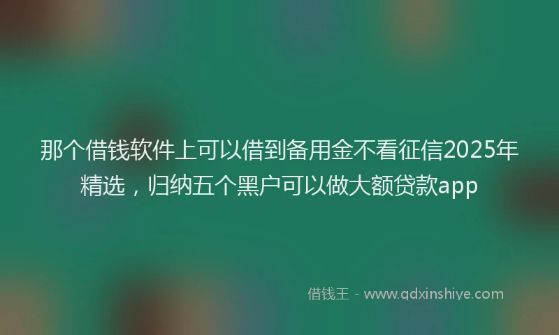 那个借钱软件上可以借到备用金不看征信2025年精选，归纳五个黑户可以做大额贷款app