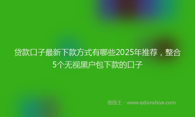 贷款口子最新下款方式有哪些2025年推荐，整合5个无视黑户包下款的口子