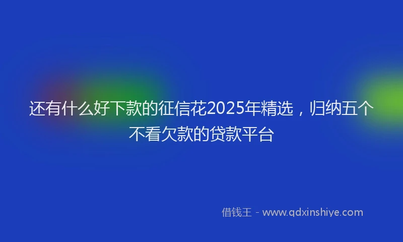 还有什么好下款的征信花2025年精选，归纳五个不看欠款的贷款平台