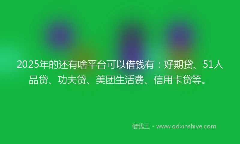 2025年的还有啥平台可以借钱有：好期贷、51人品贷、功夫贷、美团生活费、信用卡贷等。