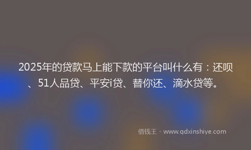 2025年的贷款马上能下款的平台叫什么有：还呗、51人品贷、平安i贷、替你还、滴水贷等。