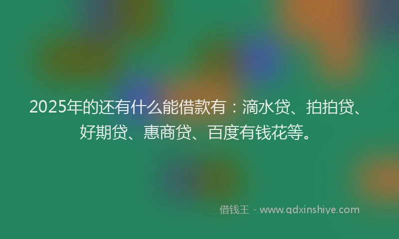 2025年的还有什么能借款有：滴水贷、拍拍贷、好期贷、惠商贷、百度有钱花等。