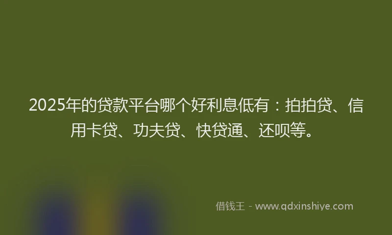 2025年的贷款平台哪个好利息低有：拍拍贷、信用卡贷、功夫贷、快贷通、还呗等。