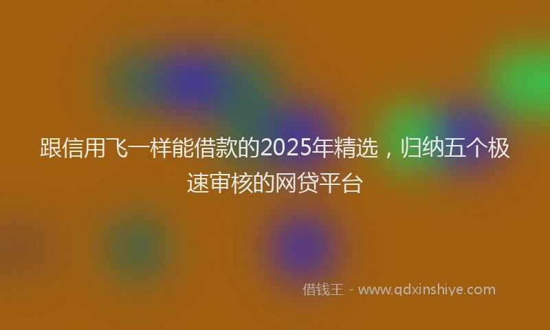跟信用飞一样能借款的2025年精选，归纳五个极速审核的网贷平台