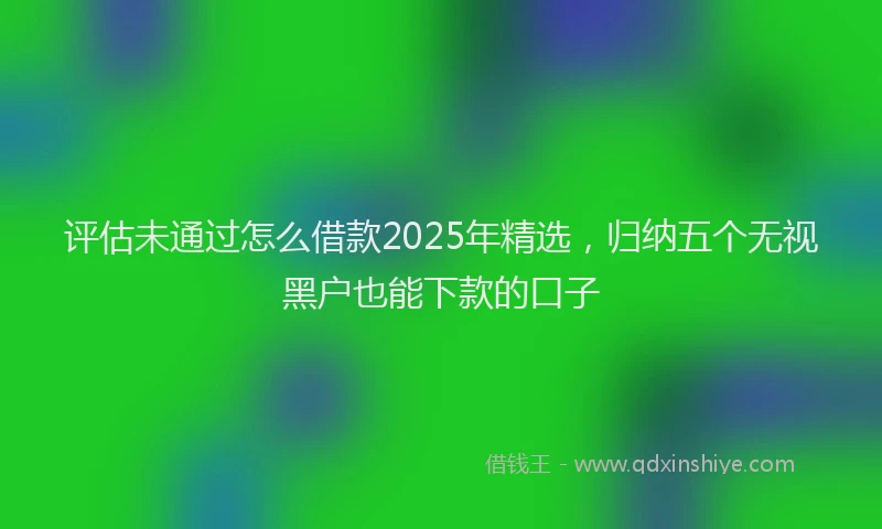 评估未通过怎么借款2025年精选，归纳五个无视黑户也能下款的口子