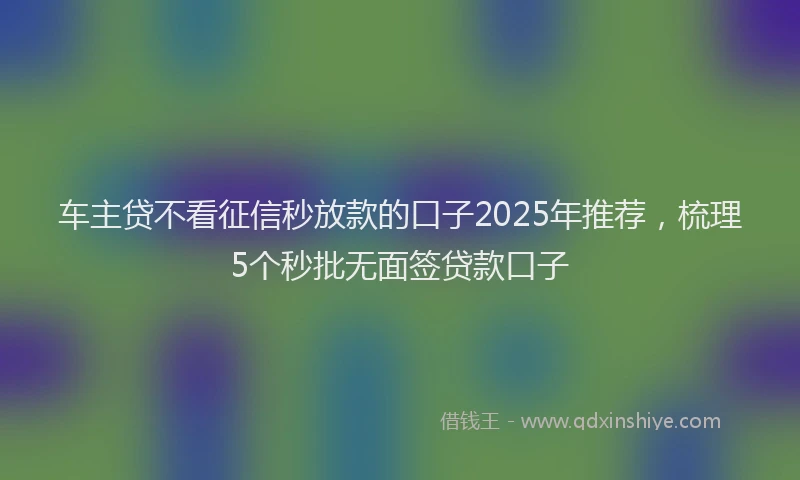 车主贷不看征信秒放款的口子2025年推荐，梳理5个秒批无面签贷款口子