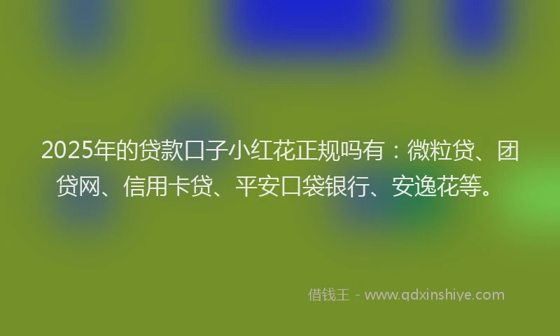 2025年的贷款口子小红花正规吗有：微粒贷、团贷网、信用卡贷、平安口袋银行、安逸花等。