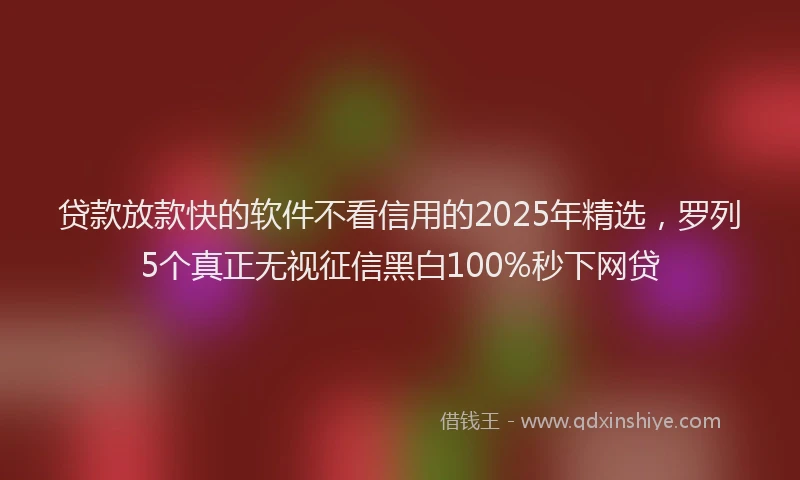 贷款放款快的软件不看信用的2025年精选，罗列5个真正无视征信黑白100%秒下网贷