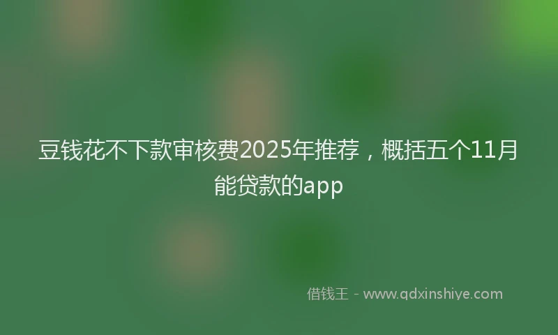 豆钱花不下款审核费2025年推荐，概括五个11月能贷款的app