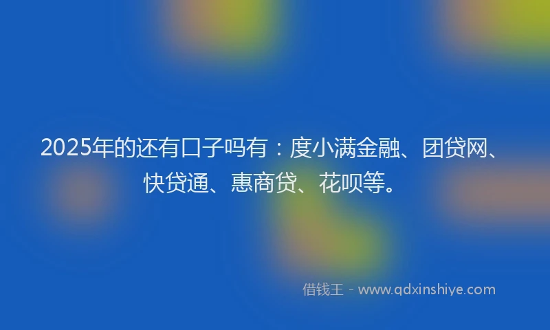 2025年的还有口子吗有：度小满金融、团贷网、快贷通、惠商贷、花呗等。