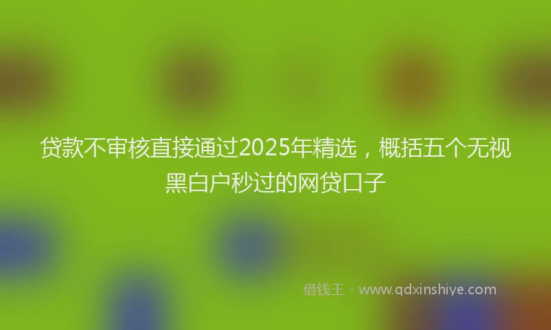 贷款不审核直接通过2025年精选，概括五个无视黑白户秒过的网贷口子