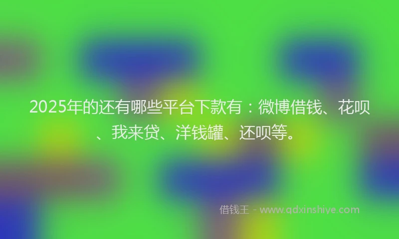 2025年的还有哪些平台下款有：微博借钱、花呗、我来贷、洋钱罐、还呗等。
