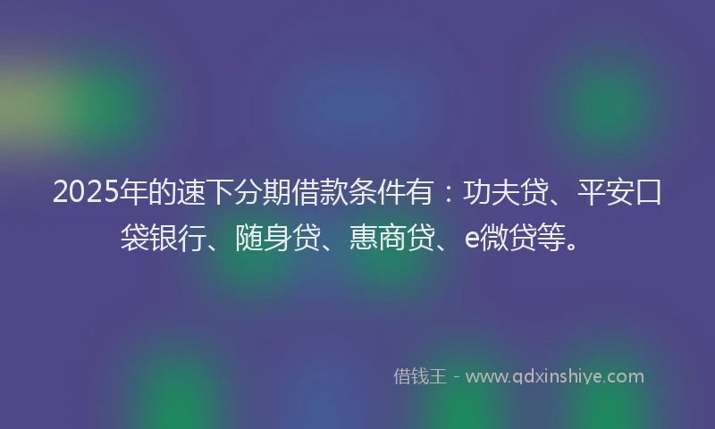2025年的速下分期借款条件有：功夫贷、平安口袋银行、随身贷、惠商贷、e微贷等。