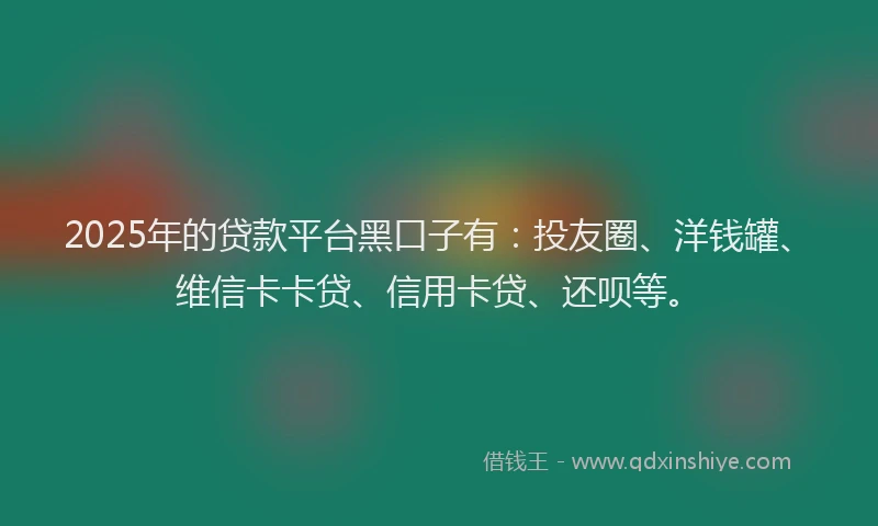 2025年的贷款平台黑口子有：投友圈、洋钱罐、维信卡卡贷、信用卡贷、还呗等。