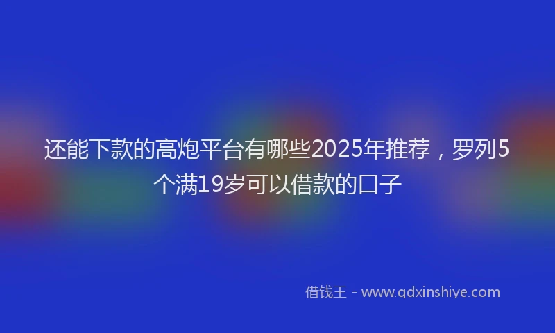 还能下款的高炮平台有哪些2025年推荐，罗列5个满19岁可以借款的口子