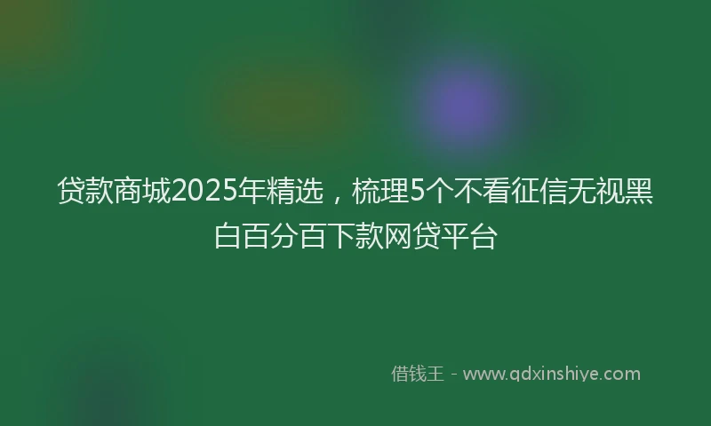 贷款商城2025年精选，梳理5个不看征信无视黑白百分百下款网贷平台