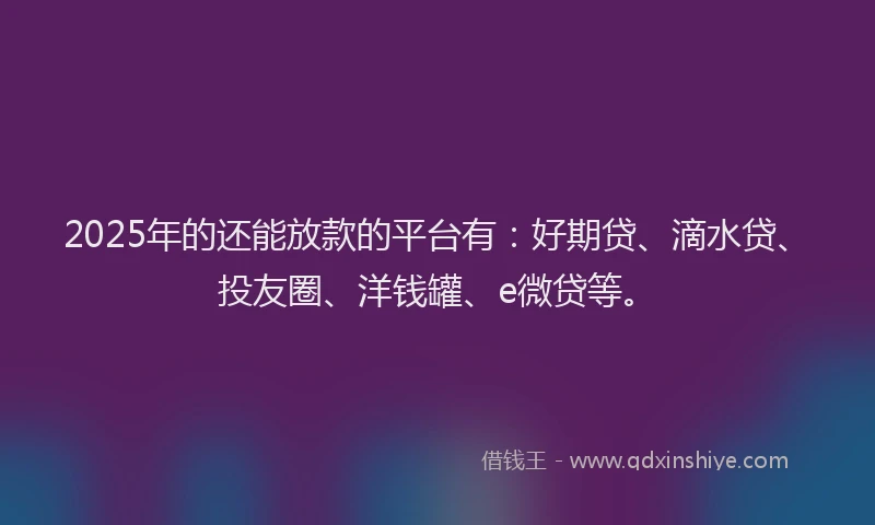 2025年的还能放款的平台有：好期贷、滴水贷、投友圈、洋钱罐、e微贷等。