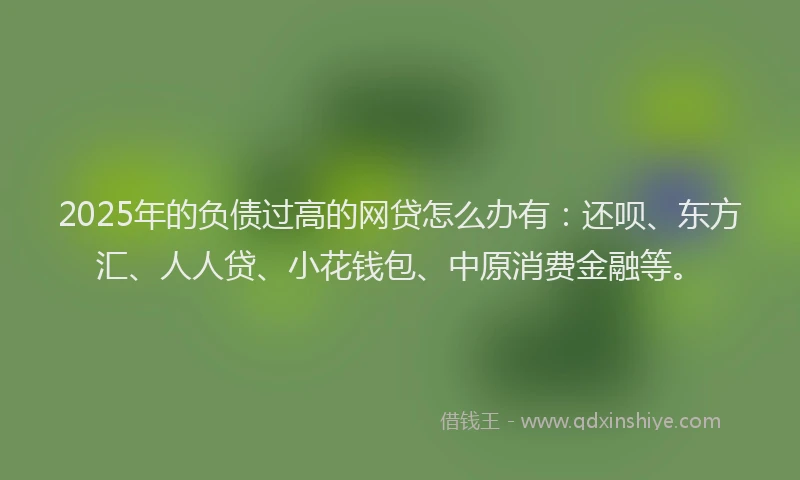 2025年的负债过高的网贷怎么办有：还呗、东方汇、人人贷、小花钱包、中原消费金融等。
