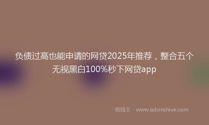 负债过高也能申请的网贷2025年推荐，整合五个无视黑白100%秒下网贷app