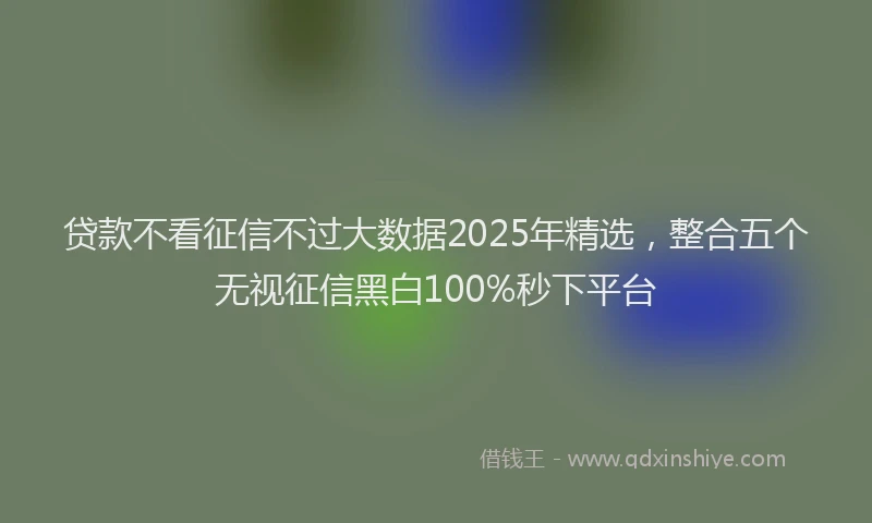 贷款不看征信不过大数据2025年精选，整合五个无视征信黑白100%秒下平台