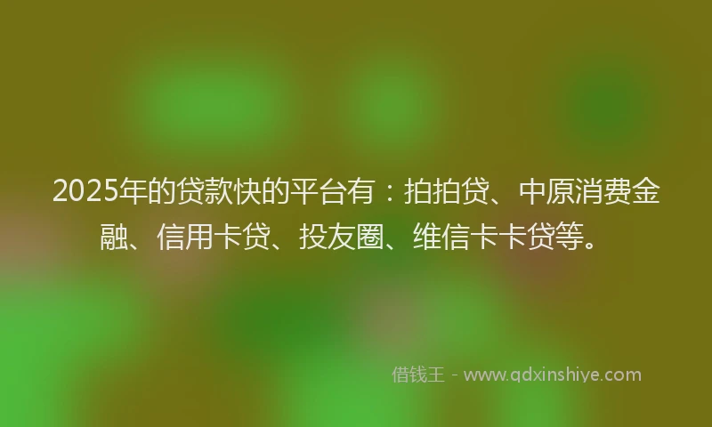 2025年的贷款快的平台有：拍拍贷、中原消费金融、信用卡贷、投友圈、维信卡卡贷等。