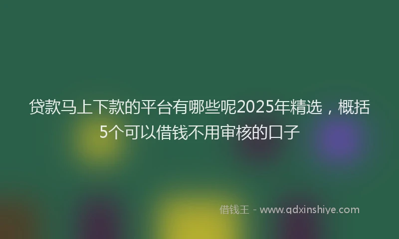 贷款马上下款的平台有哪些呢2025年精选，概括5个可以借钱不用审核的口子