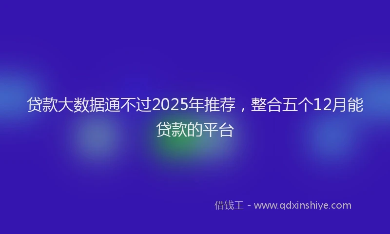 贷款大数据通不过2025年推荐，整合五个12月能贷款的平台