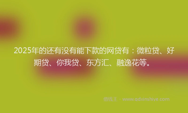 2025年的还有没有能下款的网贷有：微粒贷、好期贷、你我贷、东方汇、融逸花等。