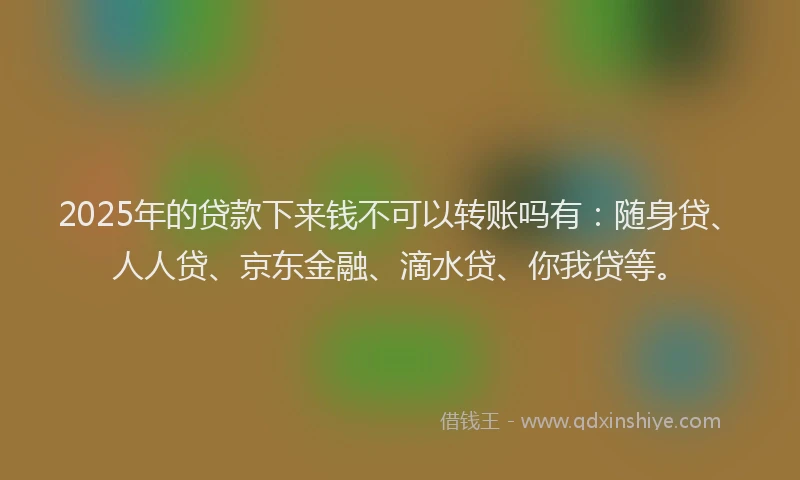 2025年的贷款下来钱不可以转账吗有：随身贷、人人贷、京东金融、滴水贷、你我贷等。
