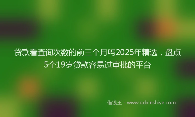 贷款看查询次数的前三个月吗2025年精选，盘点5个19岁贷款容易过审批的平台