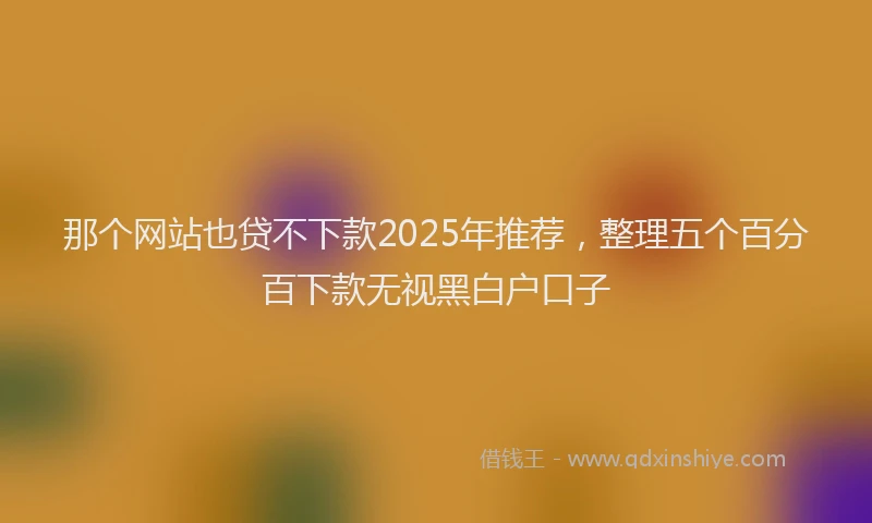 那个网站也贷不下款2025年推荐，整理五个百分百下款无视黑白户口子