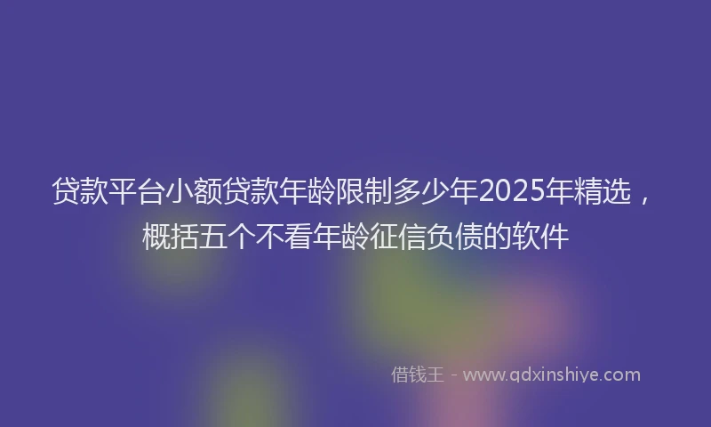 贷款平台小额贷款年龄限制多少年2025年精选，概括五个不看年龄征信负债的软件