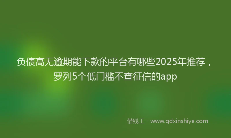 负债高无逾期能下款的平台有哪些2025年推荐，罗列5个低门槛不查征信的app