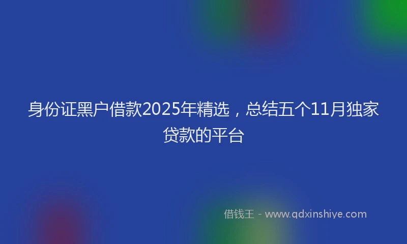 身份证黑户借款2025年精选，总结五个11月独家贷款的平台