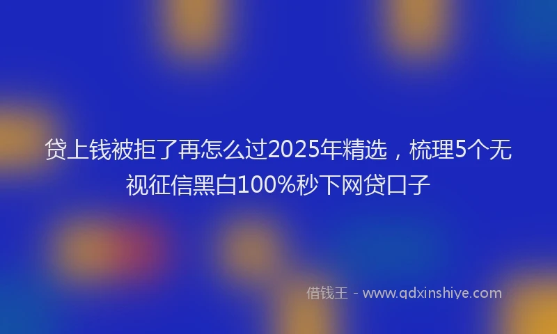 贷上钱被拒了再怎么过2025年精选，梳理5个无视征信黑白100%秒下网贷口子